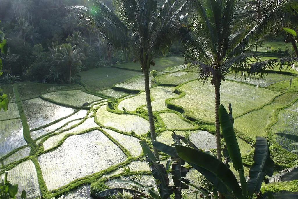 *** Gæstehus Junjungan Ubud Hotel&Spa Indonesien